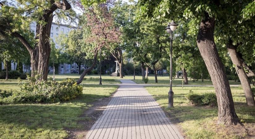 Faápolás és fakivágás kezdődik a győri Bisinger sétányon