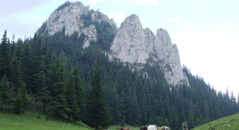Üzenet Bukarestnek és Európának: nem mondanak le Székelyföld autonómiájáról