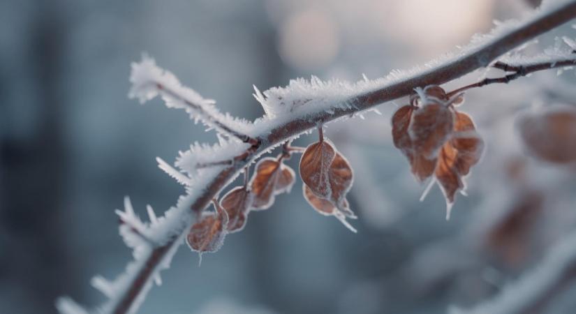Időjárás: hajnalban még mindig tombolnak a mínuszok, de a nappal már enyhül