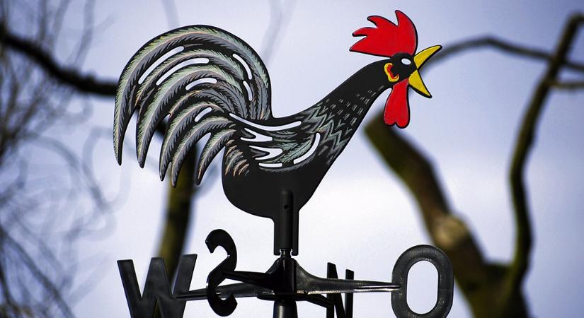 Tóth Ferenc: Tanfolyam leendő karrierista politikusoknak