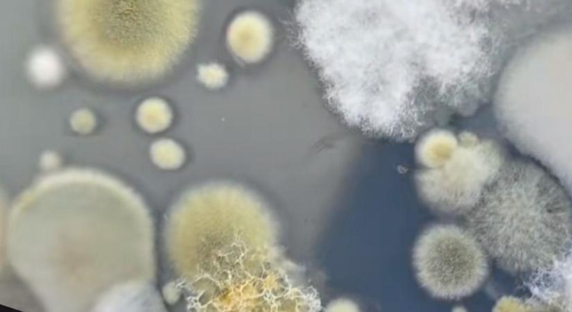 Itt a nagy hó teszt: most kiderül, mennyire tiszta a frissen hullott hó