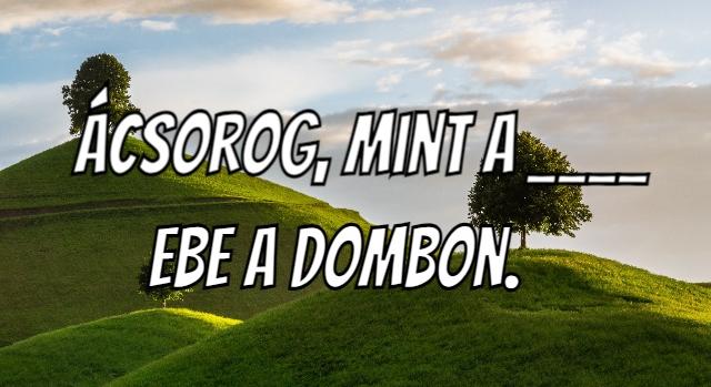 Napi közmondás feladat: Régi magyar mondás, ami kifog a városiakon.