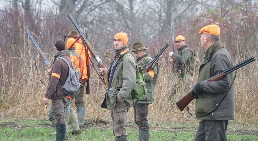 Hajtóvadászat a vaddisznók ellen, itt az akcióterv