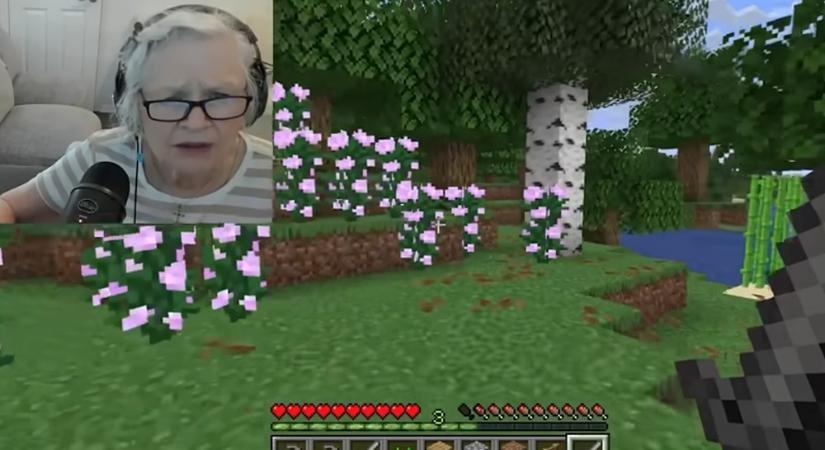 81 éves nagymama Minecraft-játékkal segítette unokája rákkezelését – és emberek ezreit inspirálta