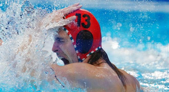 A fal neve: Vogel Soma