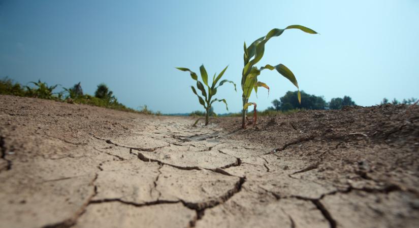 Már itt tartunk? Tényleg tönkremegy az a gazda, aki nem változtat?