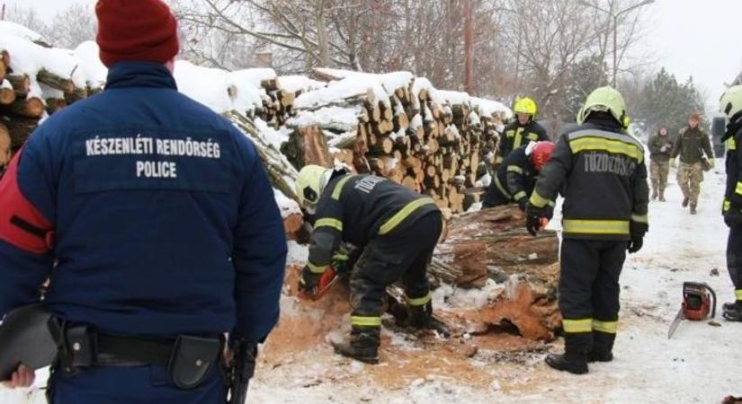 Összeírják a tűzifaigényt a hevesi önkormányzatok