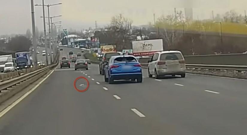 Izomszagtól bűzlött az M3-as! Durva műsort csináltak a pálya önjelölt bikái – videóval