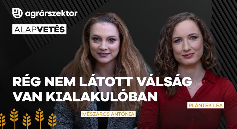 Emberéletekbe kerül Trump döntése: rég nem látott válság van kialakulóban