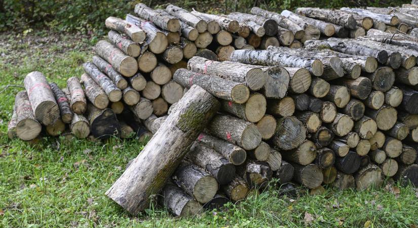 Saját januári rezsitámogatását a rászorulóknak adja a zalaszentgróti polgármester