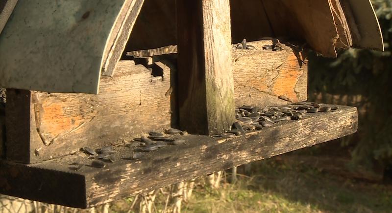 Sok az üres etető, de nem kell aggódni!