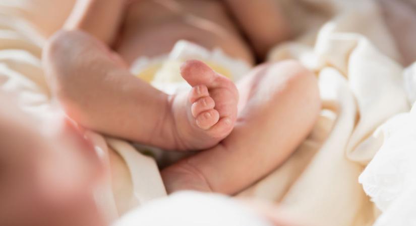 Két kisfiú született szerdán Győrben