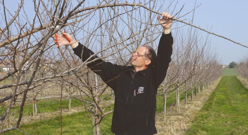 Az olcsó kerti szerszám drága – csak nem azonnal