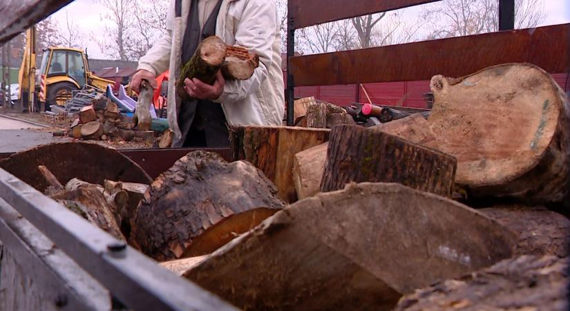 Segítség vagy kampány? Így működik az állami tűzifaosztás Vásárhelyen