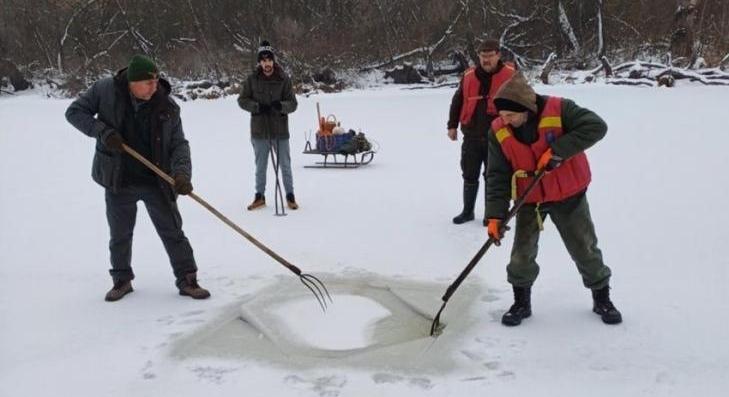 Lékelési munkálatok kezdődtek a Holt-Tiszán 