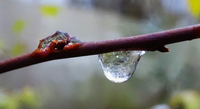 Egyelőre búcsút inthetünk a kemény télnek