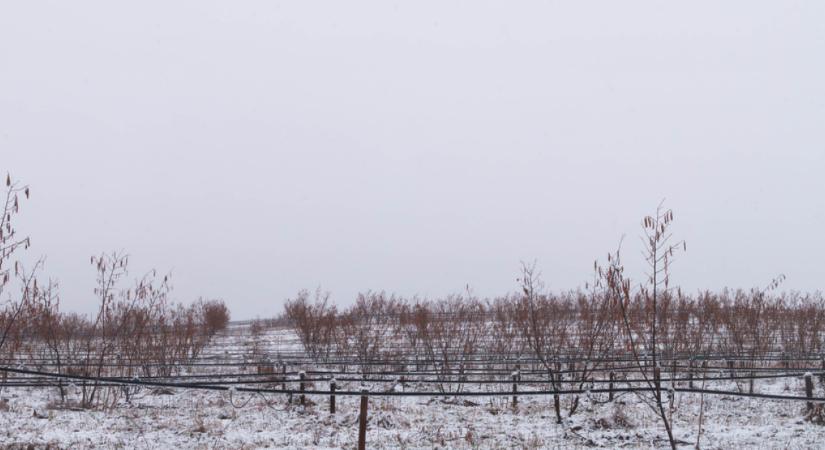 Kulcsfontosságú napok előtt a magyar földek