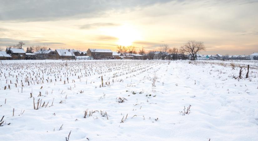 A mezőgazdaságnak jó, hogy végre van tél