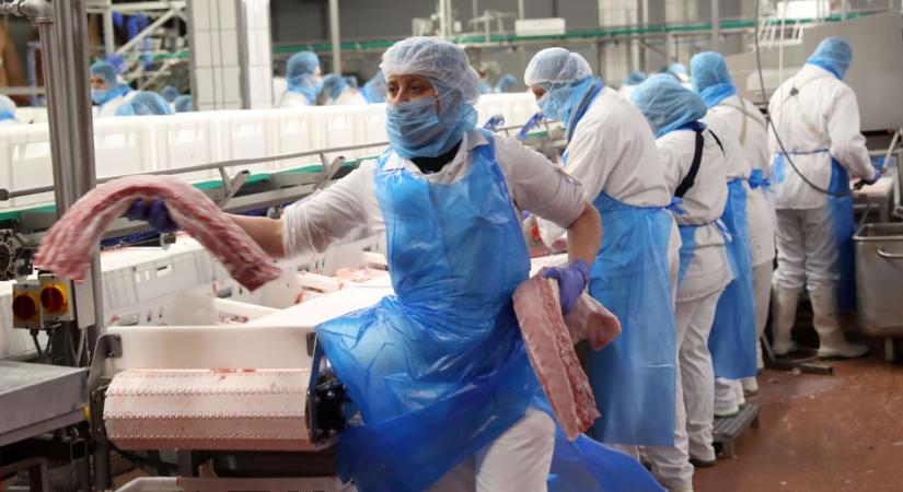 Erősödik a kaposvári húsóriás: több mint egymilliárdos tőkeinjekció érkezik a Kometához