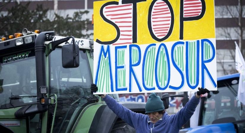 „Veszélyben érzem a megélhetésünket” – Tolna vármegyei gazda is megszólalt a Mercosur-ügy kapcsán