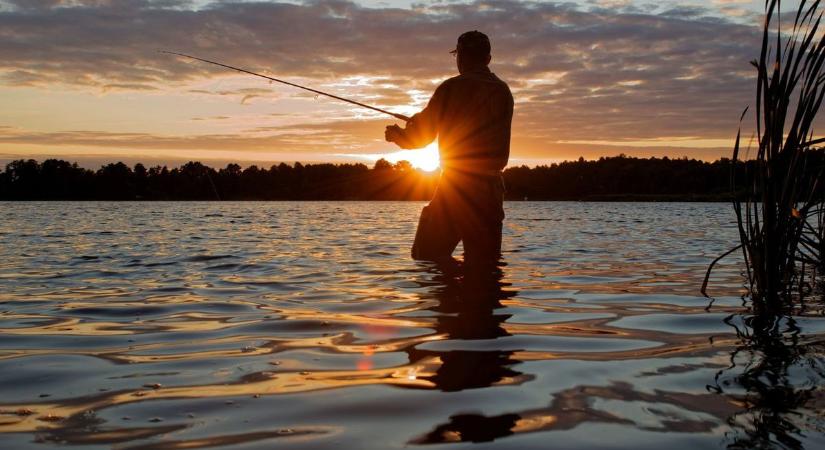 Fertő tavi horgászok figyelem - Változik a Fertő horgászrendje