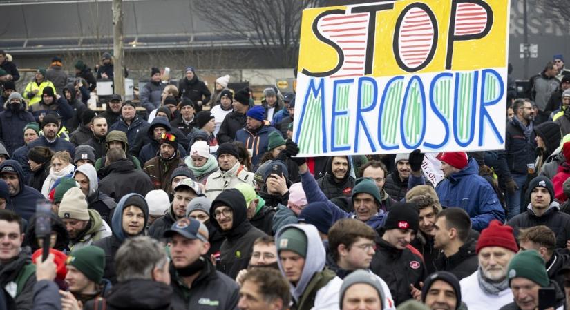 A marhák és a gazdák: miért üti-vágja egymást fél Európa a Mercosur-egyezmény miatt?