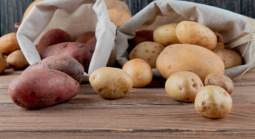 Burgonya tárolása télen – csírázás, rothadás, penész: mi mit jelent?