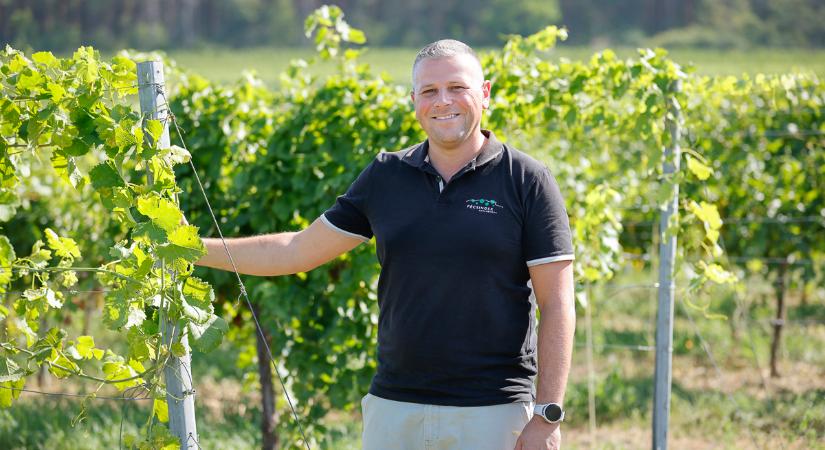 Ha szépen fénylik Vince, megtelik borral a pince?!