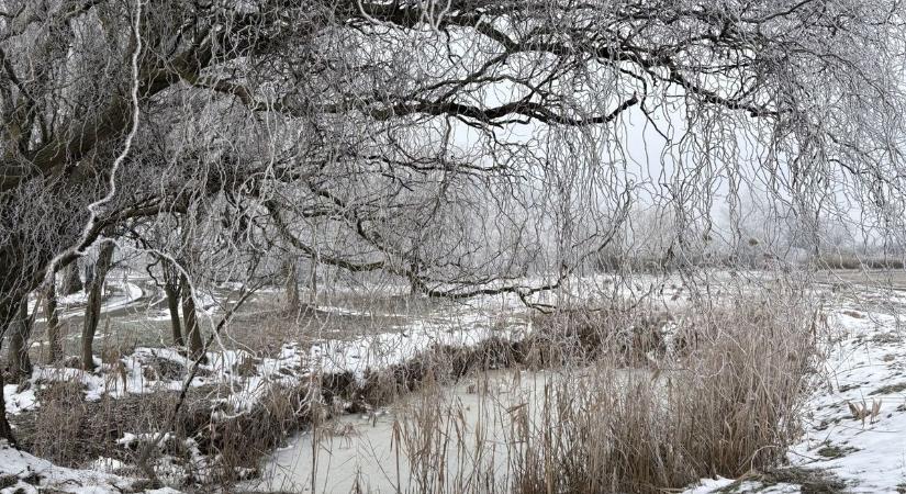 Hideg és borongós nap Szegeden – Milyen lesz holnap az idő?