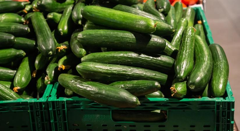 Sokakat sokkolt a kígyóuborka ára – ez állhat a brutális drágulás mögött