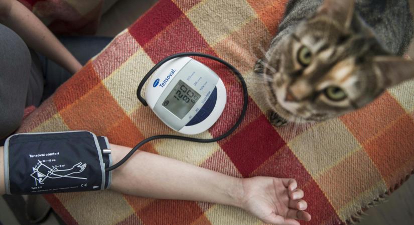 A legnagyobb baj, ha ezek a betegségek egyszerre jelentkeznek