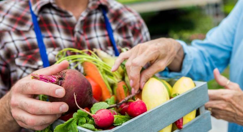 Svábtök, murok, bagolyborsó – tudod, milyen zöldséget takarnak régi szavaink?