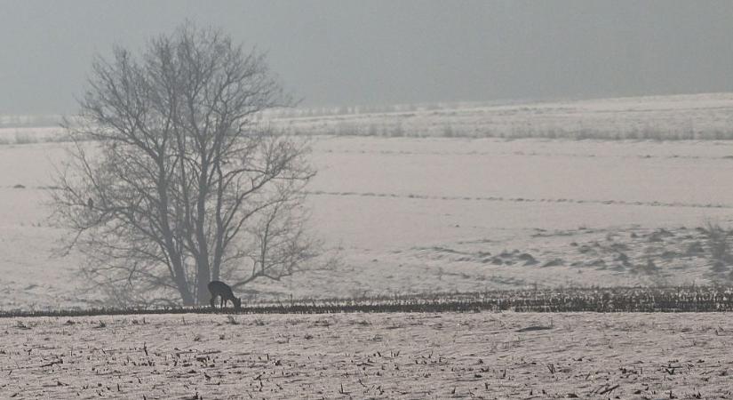 Ilyen idő lesz a hétvégén