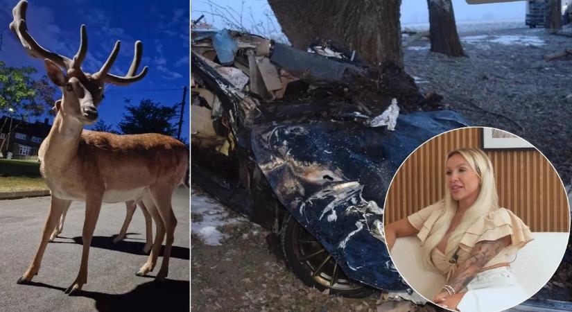 Jákli Mónika balesete: Ez lehetett a tragédia valódi oka