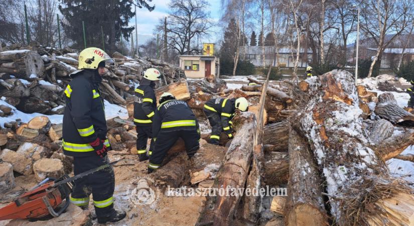 Tűzifa vágásával segítettek a vármegyei tűzoltók