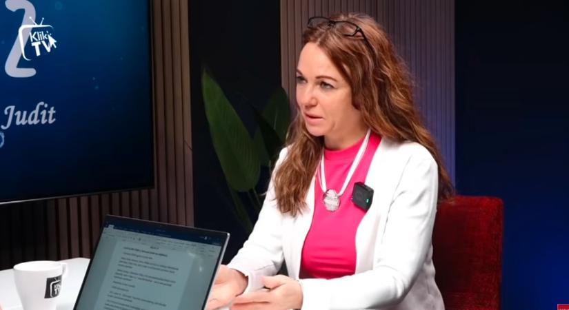 „Orbánt nem érdekli a gyermekvédelem, mert abból nem lehet lopni"