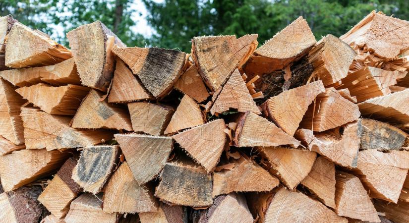 Itt a tűzifás és a bukófigura-csalás