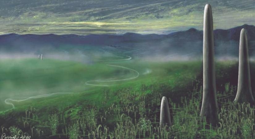 Ismeretlen életforma fosszíliáját azonosították