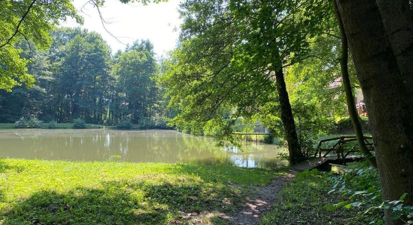 Túl fürgék voltak a böllérkéshez, ennek ellenére kipusztult a bakonyi sertésállomány