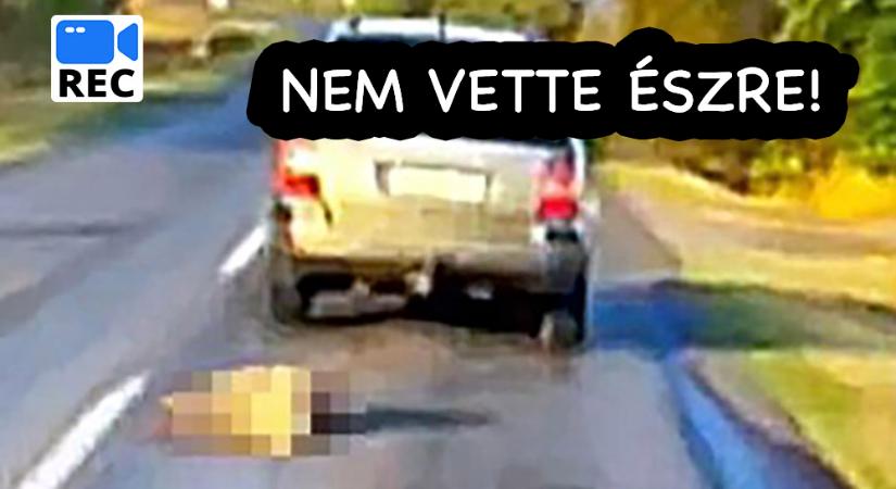 Börtönbe megy Rozi kutya megkínzója – közel 100-zal vonszolta az állatot