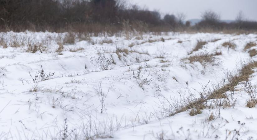 200 milliós fejlesztés indul az Őrség Natura 2000 területein