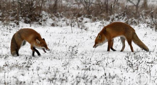 Mezőgazdasági szempontból kedvező a hideg idő