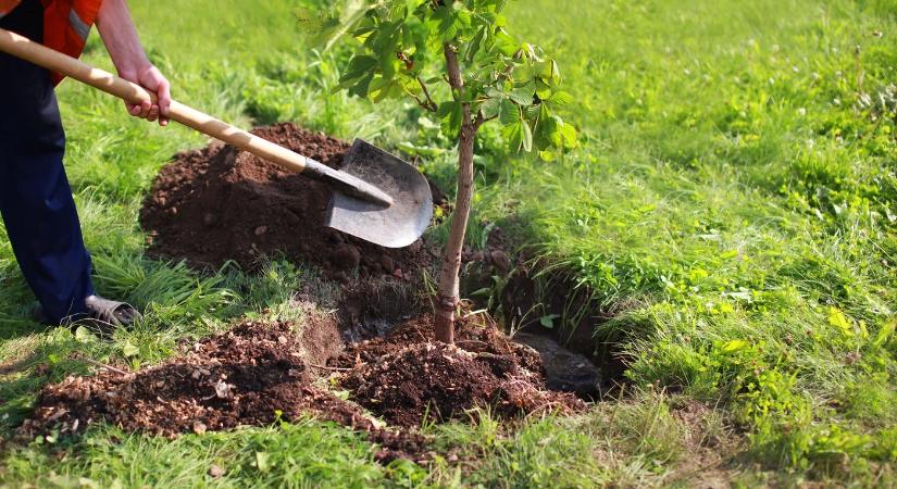 Pénzt kaphatnak, akik környezetet és közösséget fejlesztenének Komáromban