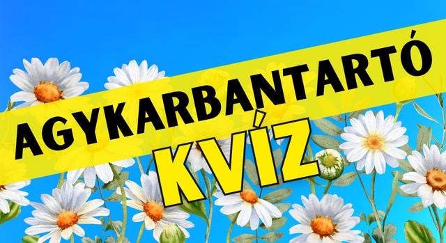 Napi agykarbantartó feladat: A részlet, ami felett átsiklik a tekintet – Látod a különbséget?