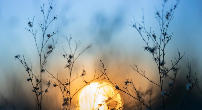 Blue Monday: miközben a „leglehangolóbb nap” visszatérő jelenség, a megkérdezett magyarok fele mégis tudatos tervekkel vág neki 2026-nak