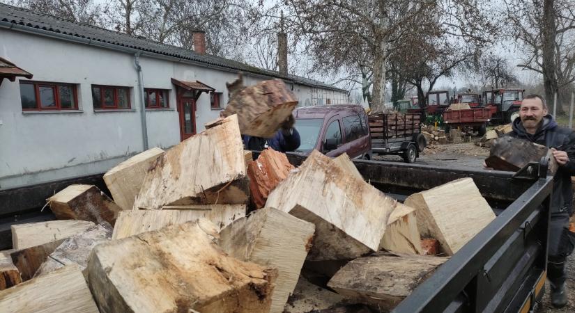 Ha politikai alapon osztják a tűzifát, feljelentést teszünk – káoszról és visszaélésekről beszél Márki-Zay