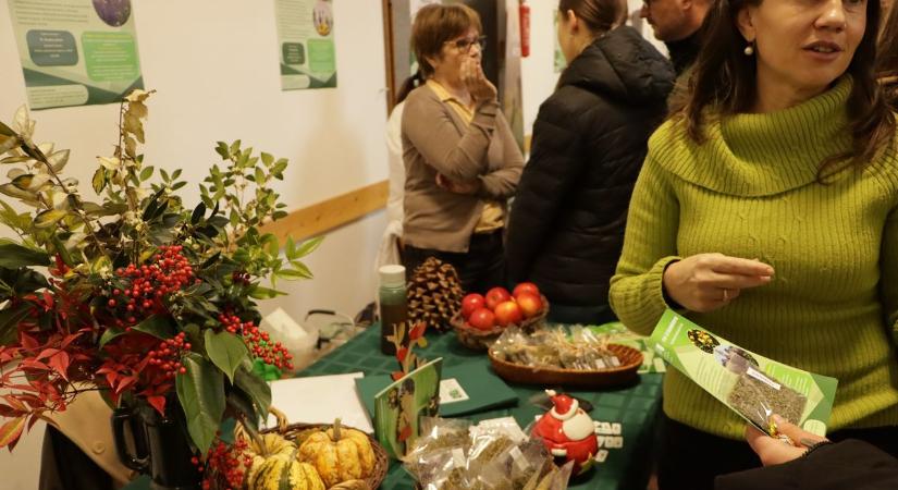 Mi leszel, ha nagy leszel? A Georgikon campuson "aranyat érő" szakok várnak