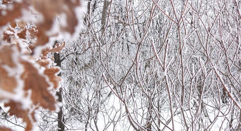 Hó, köd, csúszós utak: nehéz nap vár ránk pénteken