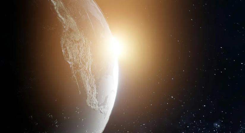 Teljesen új életformát fedeztek fel a tudósok: 8 méter magas, és rejtély, mi is valójában