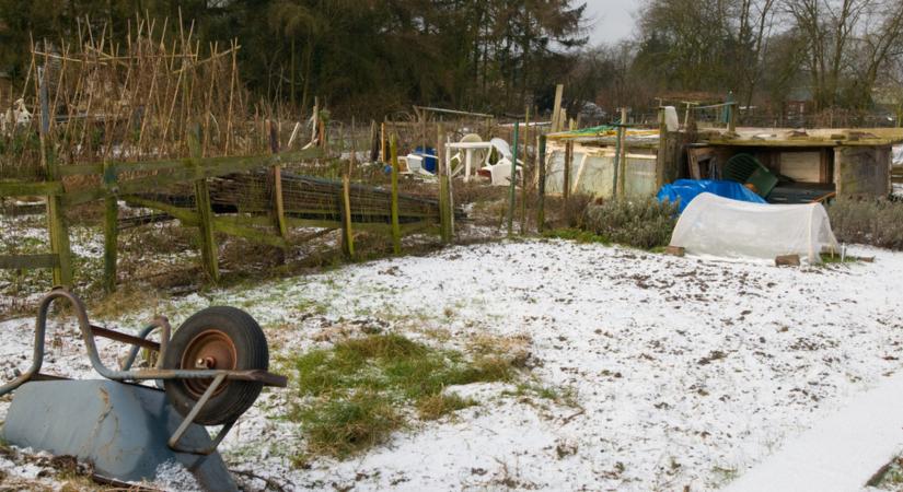 Használd ki ezeket a napokat! Ezektől a kártevőktől szabadíthatja meg a kertedet a fagy, ha teszel érte!